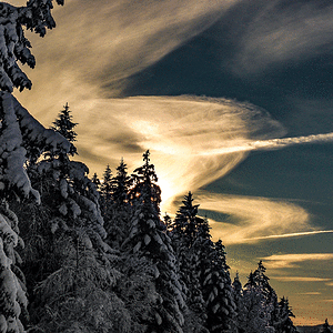 _1180076.gif
