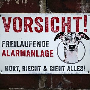 Alarmanlage.jpg