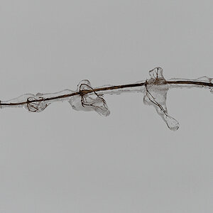 P1125156nikon.jpg