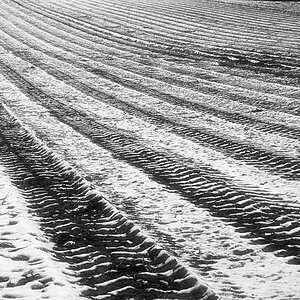 Winteracker BW.jpg