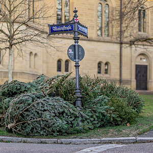 20250113-DSC_8404.jpg