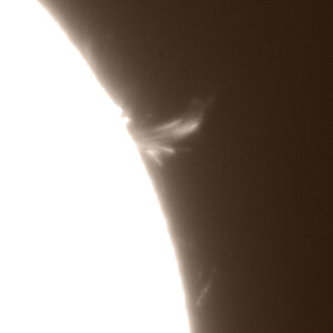 Sonne-2025-01-14_ProtS.jpg