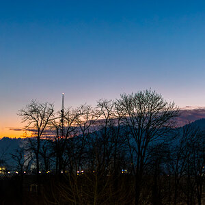 20250114-DSC_8405-Verbessert-RR.jpg