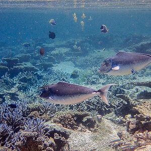 20140404-P4040632.jpg