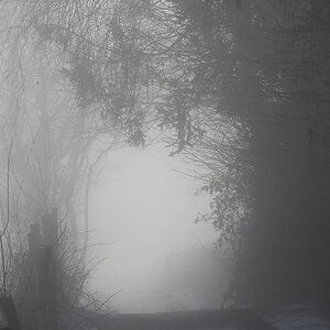 N1178599nikon.jpg