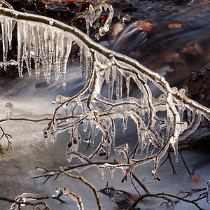 N1188813nikon-1.jpg