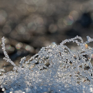 N1188790nikon.jpg