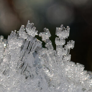 N1188724nikon.jpg