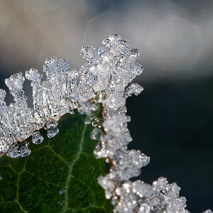 N1188667nikon.jpg