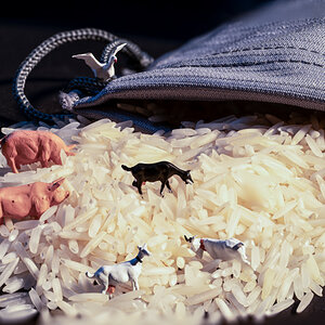 Studio-Fotosession-262-Bearbeitet.jpg