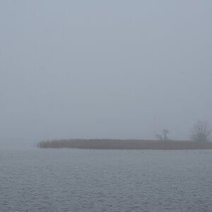 DSC_2653.JPG