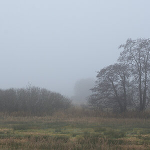 DSC_2672.JPG