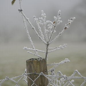 Winter_Zf_DSC0378_1200x800x150.jpg