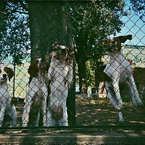 1993-08 San Baronto_022_1000.jpg