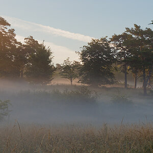 P7122297nikon.jpg