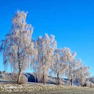 DSC_6911-2.jpg