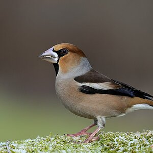 2025_002701.jpg