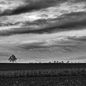 Ackerwolken BW_2.jpg