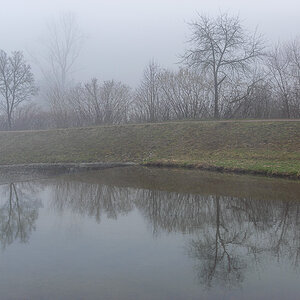 20250121-DSC_8431.jpg