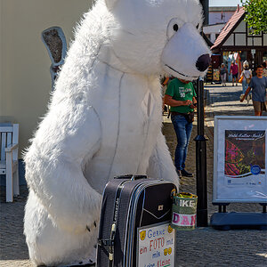 OF2_65410.jpg