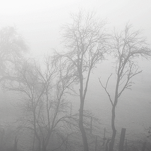 P1270006.gif