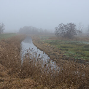 DSC_2678.JPG