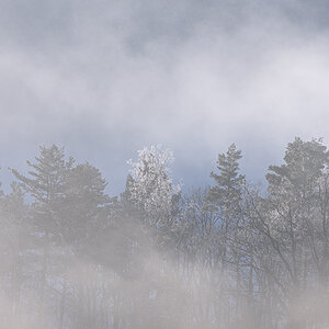 Nebel.jpg