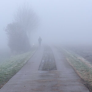 OF2_72399.jpg