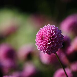 20081019 151044 D03 3081