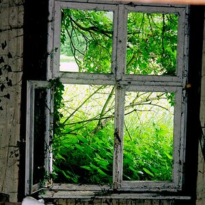 fenster