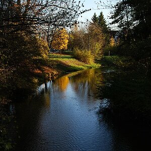 DSC 7723