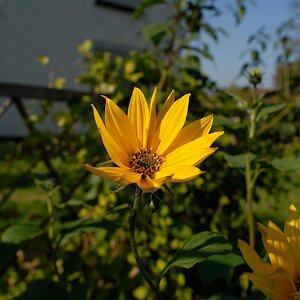 DSC8582