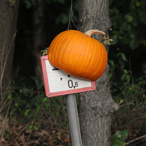 2009 10 02 17 14 26 1