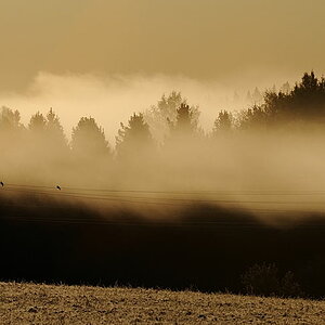 Addasnäs morgondimma 3 NFF