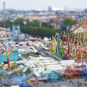 Oktoberfest 2009
