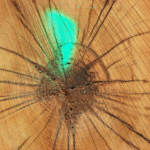 holz3