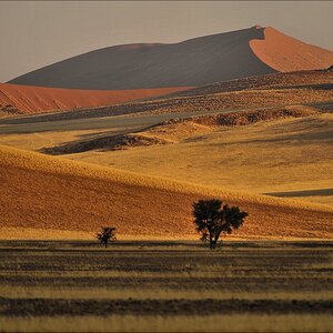 comp Namibia 09 01267