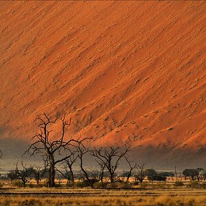 comp Namibia 09 01320