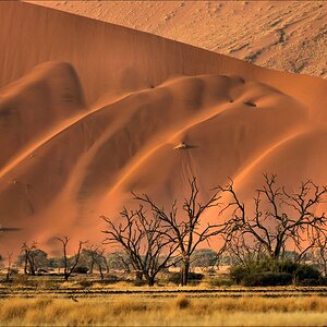 comp Namibia 09 01336
