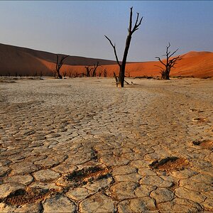 comp Namibia 09 01495
