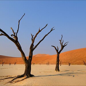 comp Namibia 09 01563