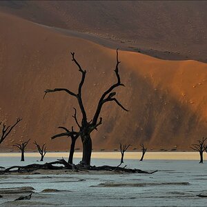 comp Namibia 09 01842