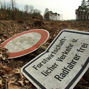 Naturschutz made in Hessen