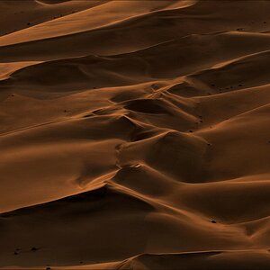 comp Namibia 09 05341