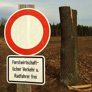 Naturschutz made in Hessen
