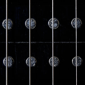 DSC1309 NF F
Humbucker