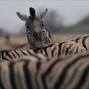 comp Namibia 09 12344