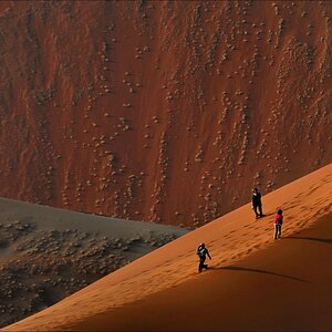 comp Namibia 09 03552