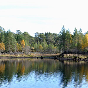 Halbinsel im Loch Beinn a' Mheadhoin