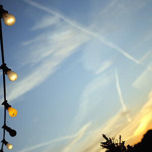 DOF 01